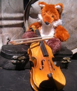 Fuchs der Geiger